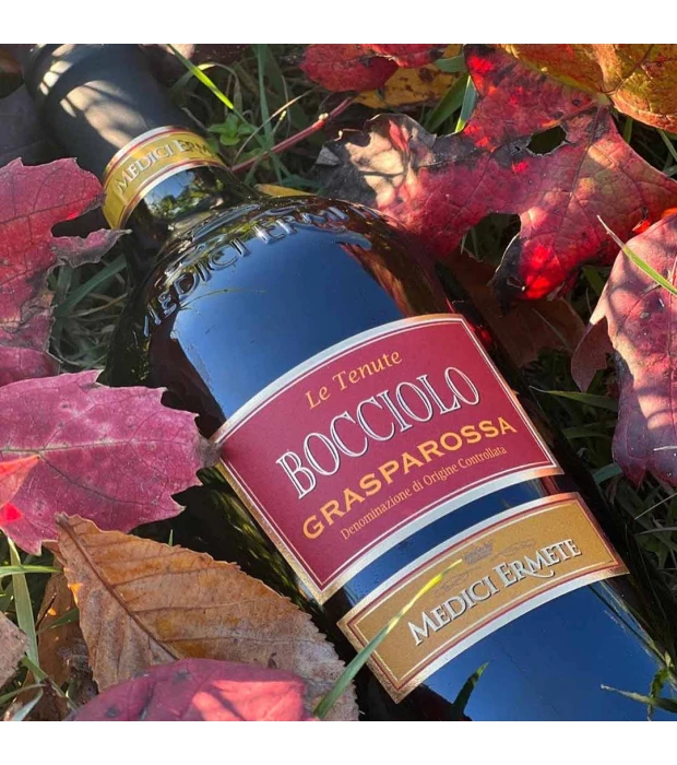 Вино ігристе Bocciolo Grasparossa червоне солодке 0,75л 7,5% купити