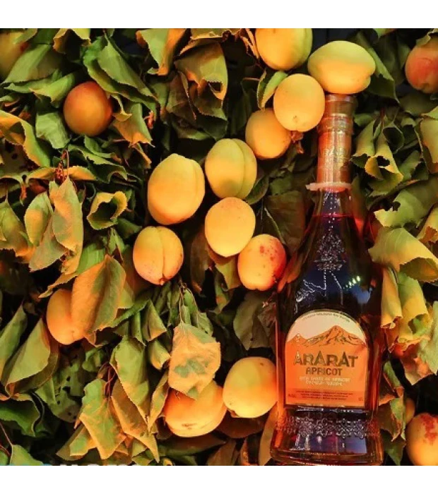 Міцний алкогольний напій Ararat Apricot 0,7 л 35% в Україні