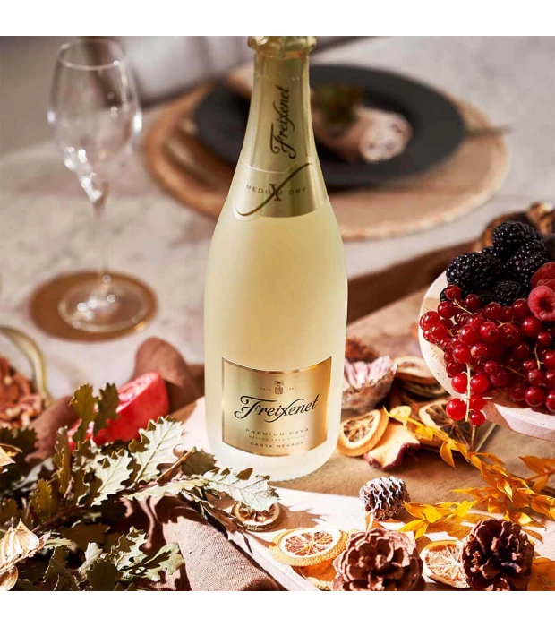 Вино ігристе Freixenet Premium Cava Carta Nevada біле напівсолодке 0,75л 11,5% купити