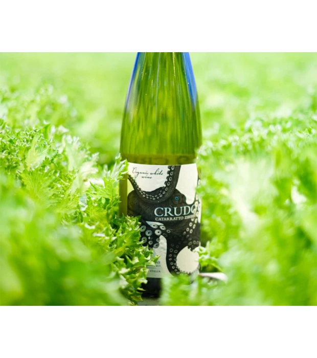 Вино Mare Magnum Crudo Catarratto-Zibibbo Organic белое сухое 0,75л 12,5% купить