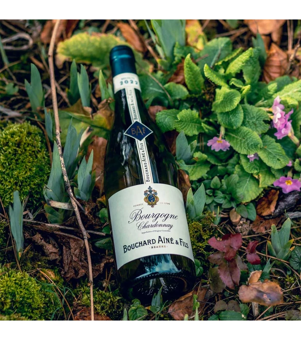 Вино Bouchard Aîné & Fils Bourgogne Chardonnay белое сухое 0,75л 13% купить