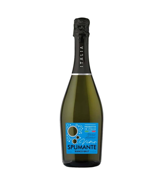 Вино игристое Тerra Sacra Spumante Brut белое сухое 0,75л 10,5%