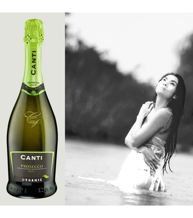 Вино ігристе Canti Prosecco Extra Dry Biologico біле екстра-сухе 0,75л 11% купити