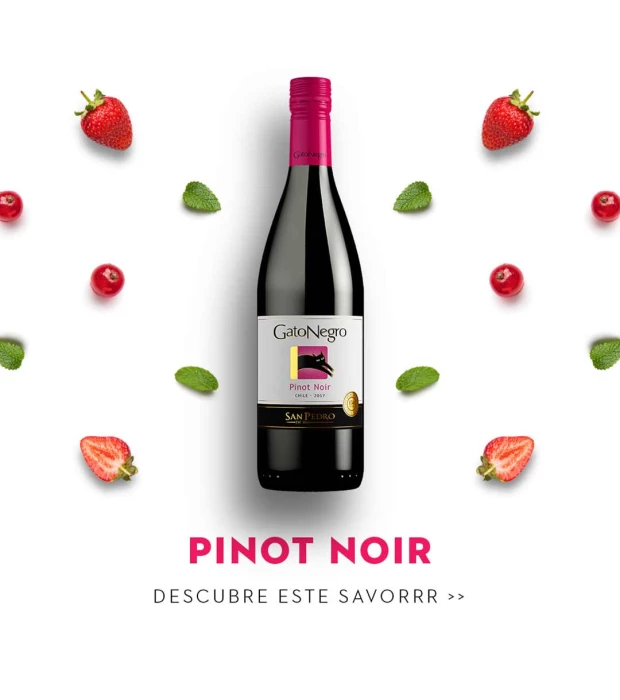 Вино Gato Negro Pinot Noir червоне сухе 0,75л 13,9% купити