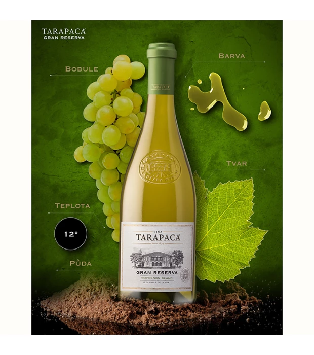 Вино Tarapaca Gran Reserva Sauvignon Blanc белое сухое 0,75л 13,9% купить