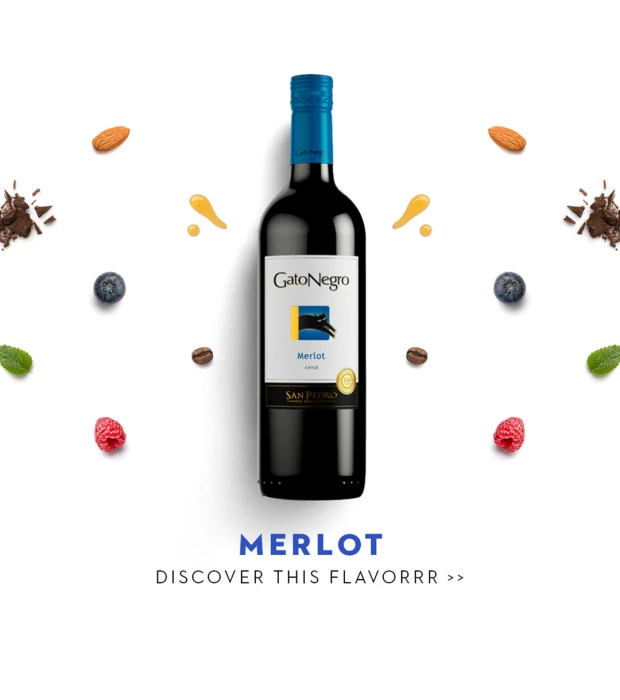 Вино Gato Negro Merlot красное сухое 0,75л 13% в Украине