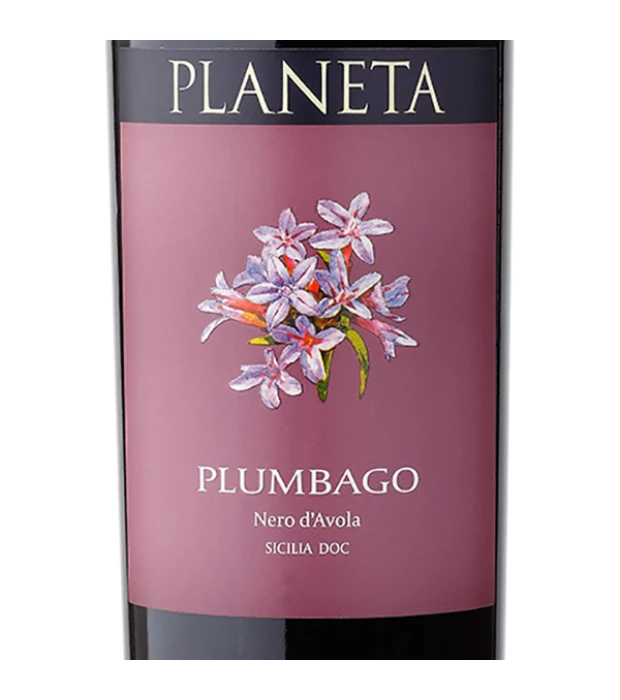 Вино Planeta Plumbago 2016 червоне сухе 0,75л 13,5% в Україні