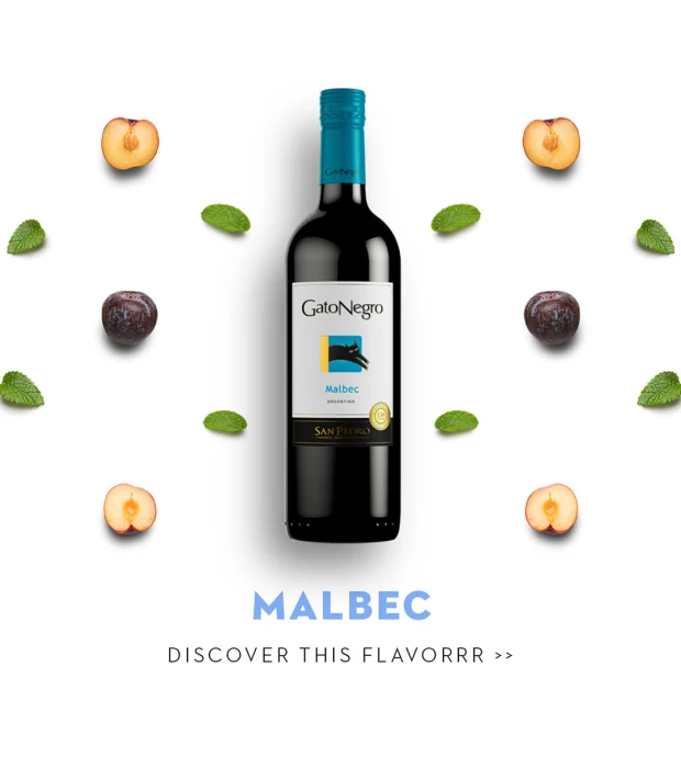Вино Gato Negro Malbec красное сухое 0,75л 13% купить