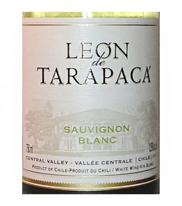 Вино Tarapaca Sauvignon Blanc Leon de Tarapaca белое сухое 0,75л 12.5% купить