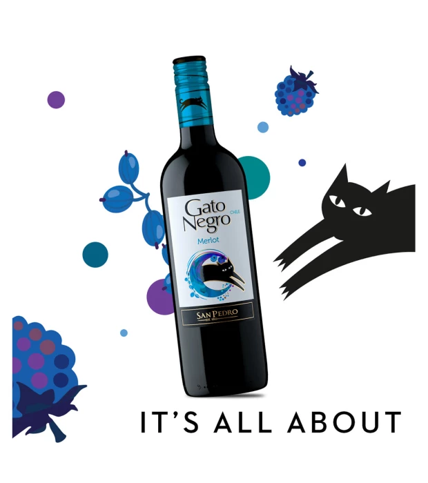 Вино Gato Negro Merlot червоне сухе 0,75л 13% купити