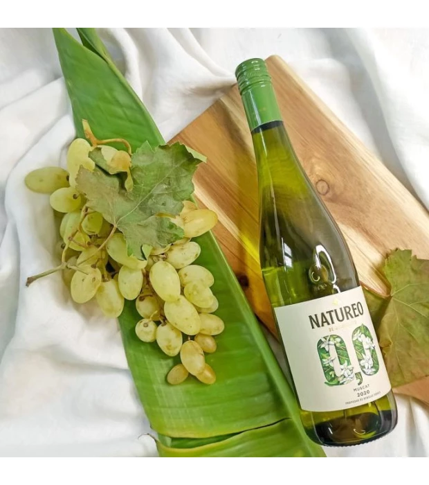 Вино безалкогольне Torres Natureo біле напівсолодке 0,75л 0.0% купити