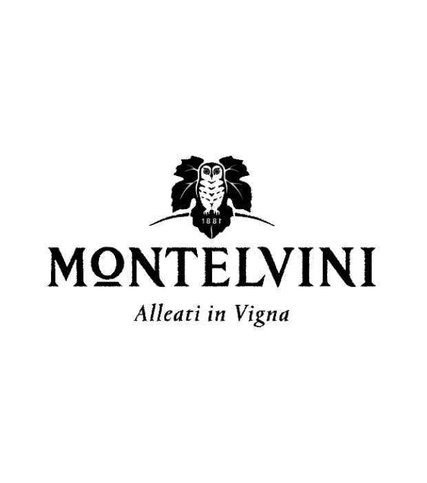 Вино игристое Montelvini Prosecco DOC Spumante Extra Dry 0,75 л 11% купить