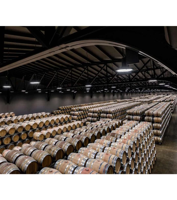 Вино Marques de Murrieta Reserva DOC Rioja красное сухое 0,75л 14% в Украине