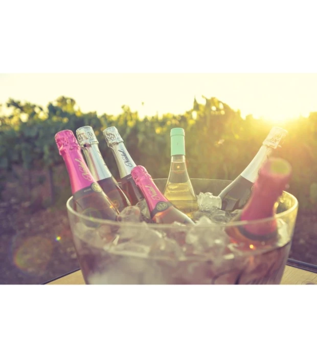 Вино игристое Nadal Brut Rose Reserva Corpinnat розовое сухое 0,75л 12,5% купить