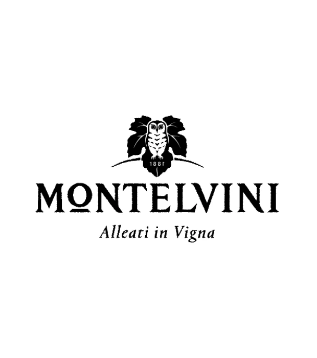 Вино игристое Montelvini Promosso Spumante Millesimato белое брют 0,75л 11,8% купить