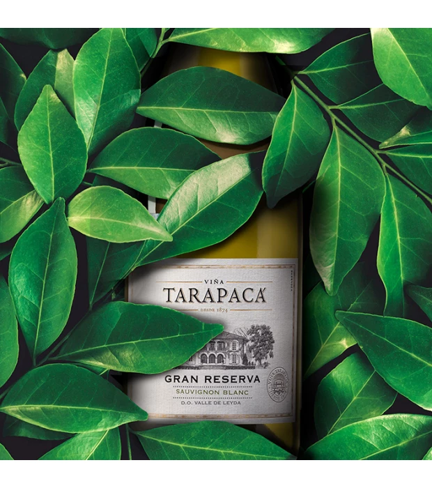 Вино Tarapaca Gran Reserva Sauvignon Blanc біле сухе 0,75л 13,9% купити